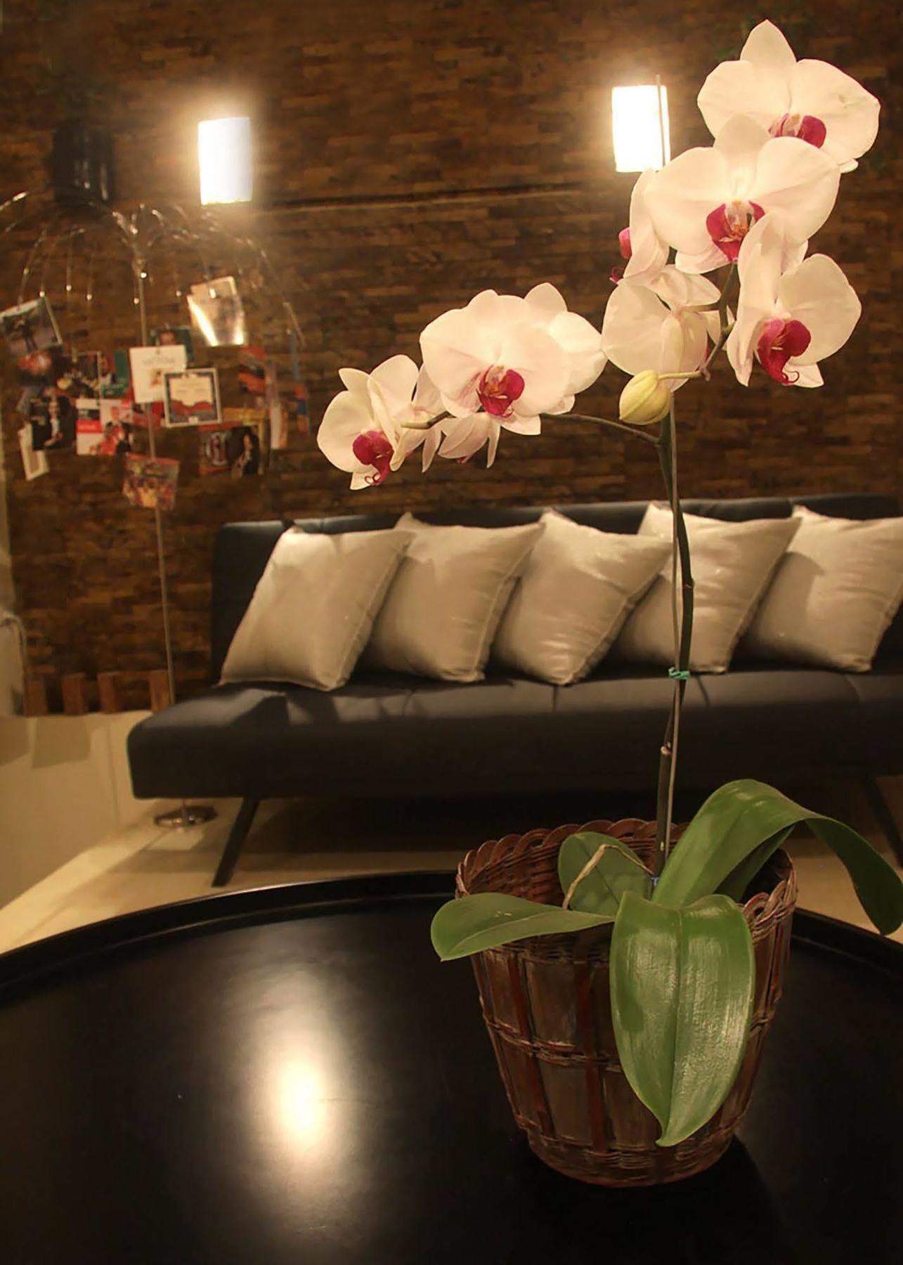 6 Suites Hotel Bogotá Dış mekan fotoğraf